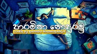 Paramitha Nopuramu (පාරමිතා නොපුරමු) | Cover by Ravindu Madhuranga [Lyric Video]