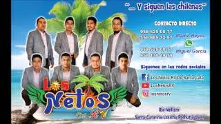 EL PETATILLO - LOS NETOS RV - NUEVA PRODUCCION 2017