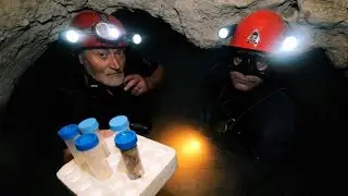 Movile Cave