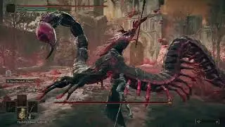 Elden Ring DLC: Romina, Saint of the Bud