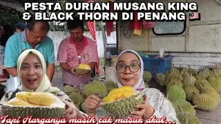 PESTA DURIAN MUSANG KING DI MALAYSIA BERMULA - SEBUAH RP600.000