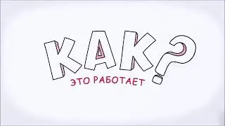 Работа в проекте 