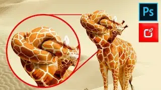 🔴 COMO hacer fotomontajes en PHOTOSHOP cs6, NUDO DE JIRAFA ⭐⭐⭐⭐⭐