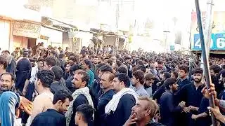 10 محرم کا مرکزی جلوس گڑھ مہاراجہ میں برامد