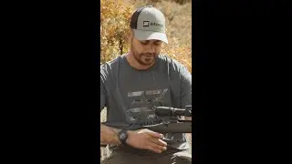 Ambidextrous Thumbhole Stock?