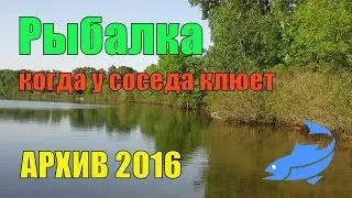 Рыбалка. У соседа клюет, а у меня нет | Архив 2016