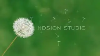 Présentation de l’EIST