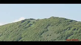 Şehrin gürültüsü, köyün görüntüsü; birisi insanı strese sokar, diğeri insanın stresini alır.
