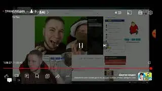 тик-так Стрим грибы