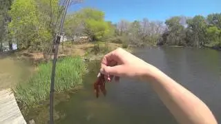 Flippin Beds for Spawning Bass