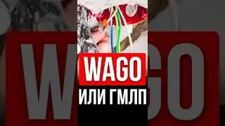 ⚡️ That’s Experience! Wago connectors or crimp sleeves (GML/GMLP) for wiring?