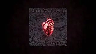 Nimm mein Herz Remix Phaurum x Schubjé