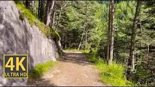 Sunny Mountain Path Nature Walk (With Ambient Nature Sounds And Music)