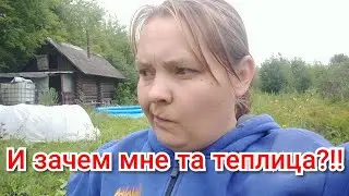 Утро в деревне. Хлопоты по хозяйству.