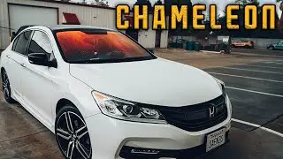 Chameleon Red Window Tint