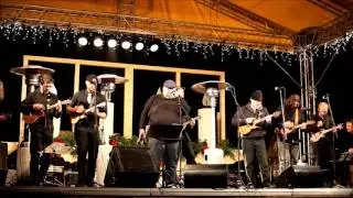 Ukulele Orchestra jako Brno "Because The Night" (Brněnské Vánoce 2015)