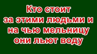 Кто стоит за этими людьми и на чью мельницу они льют воду?!  ВАЙНАЬХ ДОГ в прямом эфире