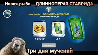 Новая рыба - ДЛИННОПЕРАЯ СТАВРИДА / Игровой процесс / Fishing Clash: Реальная рыбалка /