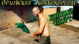Орловский Хоббихорсинг!