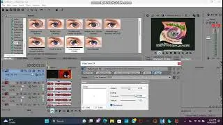 How To Make X Has Sensationalism On MAGIX Sony Vegas Pro