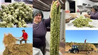 Bamya dizimine devam köy işleri akşam akşam yemeği