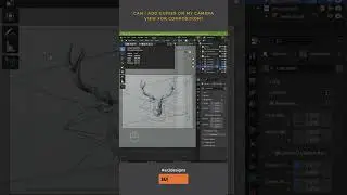 Blender Tip Camera Composition Guides | AR3Designs Daily Blender 3D Tips