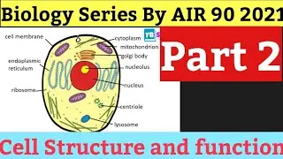 Cell Structure and function | Biology by AIR 90