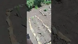 скоро скоро расцветут  все мои цветочки))))