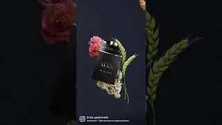 Animation for Bulgary 