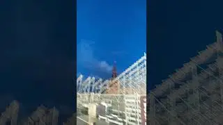 6 августа 2024 г.