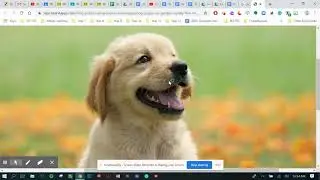 Inserting an image in a Google Doc.