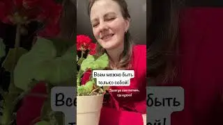 #тыжедевочка