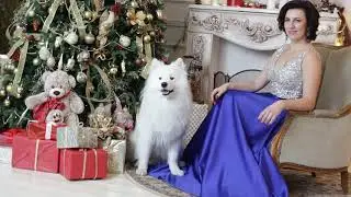 Фотодень с Окей Дресс с белой собачкой