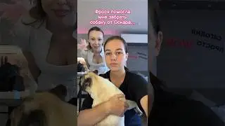 In TG:FAMILY HLEB, Frosya helped me get my dog🦮