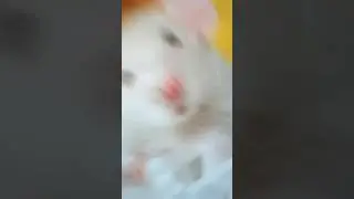 Ээээээээээээ