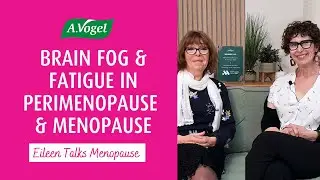 Brain Fog and Fatigue in Perimenopause and Menopause 
