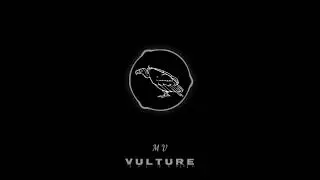 VULTURE VOL I