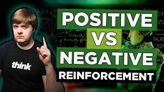 How to manage your team? What is positive and negative reinforcement