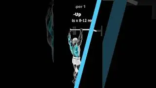Upper/Lower workout routine. Day 1/4 (Upper Body 1)