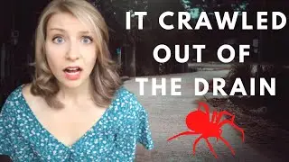 LIFE IN DA NANG, VIETNAM: Scariest experiences in Da Nang as a foreigner 🕷