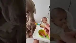 family lunch 🥰 
