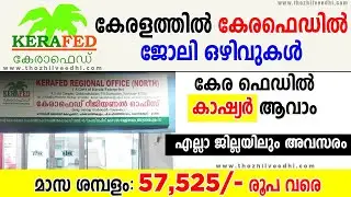 കേരഫെഡില്‍ കാഷ്യര്‍ ആവാം - എല്ലാ ജില്ലയിലും അവസരം | Kerafed Recruitment 2023 | Latest Jobs 2023