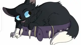 Коти Вояки  Бич