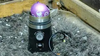 Kmart Coffee Grinder Destruction With Motor Burn Out