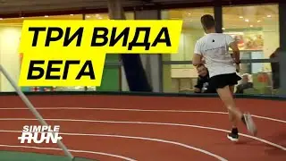 Три вида бега и план тренировок🏃 Виктор Осокин