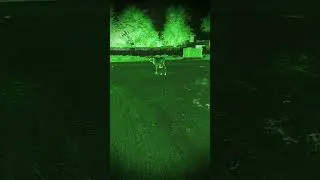 Real horror show #shorts #ytshorts #youtubeshorts #ghost #bhoot #creepy #bhootmovie #horror real