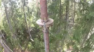 Черная трасса