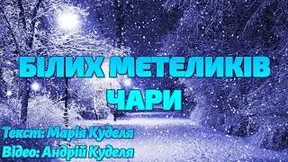 БІЛИХ МЕТЕЛИКІВ ЧАРИ ❄ (Відеовірш, 2020)