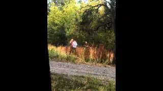 Школьницы на перемене возле школы