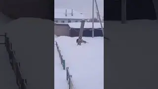 инфа про меня 💮 сорян за плохую озвучку